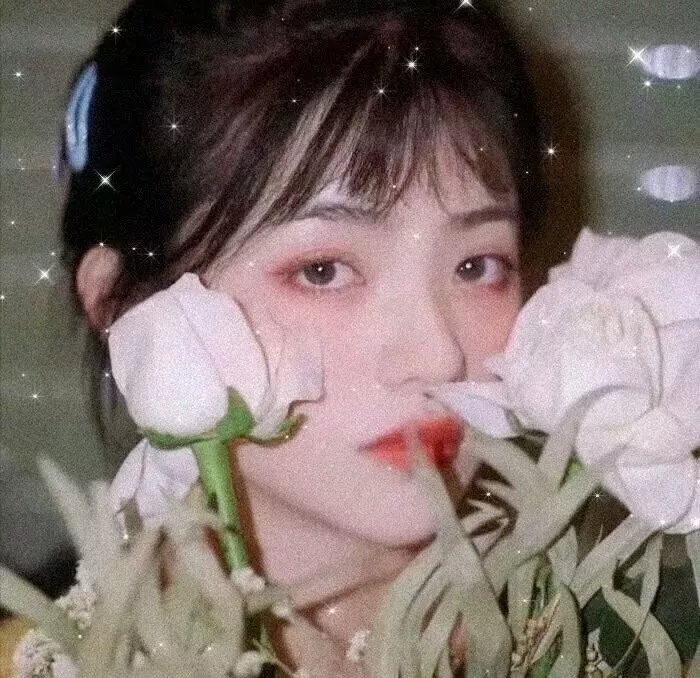 我的野兽